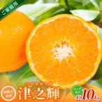森本農園の手選別 津の輝 約10kg