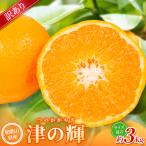 森本農園の手選別 津の輝 約3kg