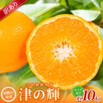 森本農園の手選別 津の輝 約10kg