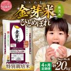 令和8年産 ひとめぼれ 無洗米5kg×4回定期便
