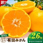 有田みかん 極早生 約2.6kg