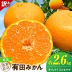 有田みかん 早生 約2.6kg