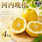 河内晩柑 4kg
