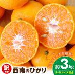 西南のひかり 約3kg