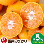 西南のひかり 約5kg