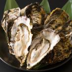 殻付き牡蠣 生食用 冷蔵 3kg