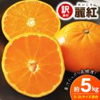 麗紅 約5kg