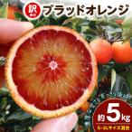 ブラッドオレンジ 約5kg