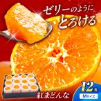 紅まどんな Mサイズ 12個入り