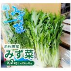 fu.... налог Hamamatsu город производство ... примерно 2kg( примерно 200g×10 пакет ) мизуна салат овощи both na салат мицуна османтус разнолистный na.. чувство jina тысяч .. Shizuoka Hamamatsu город [ распределение.. префектура Shizuoka город Hamamatsu 
