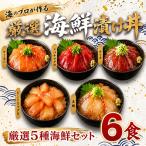 タカシン水産の漬け丼 5種
