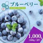 冷凍ブルーベリー1000g 500g×2パック