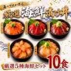 タカシン水産の漬け丼 5種