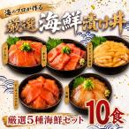 タカシン水産の漬け丼 5種