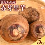 赤芽里芋 5kg