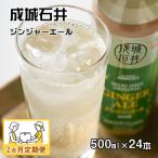 成城石井 ジンジャーエール 500ml×24本