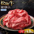 松阪牛 切り落とし 400g