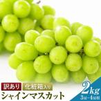 訳あり つる付き シャインマスカット 3房