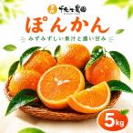 ポンカン 5kg