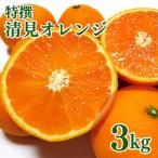 特撰 清見オレンジ 3kg+200g 補償分