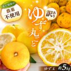 かさぎのゆず ゆず玉 5kg