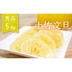 土佐文旦 秀品 5kg