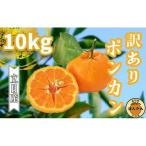 ポンカン 訳あり 10kg