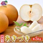 あきづき 約5kg