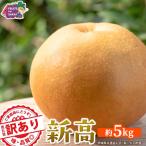 新高 約5kg