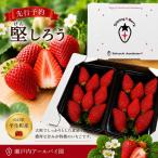 堅しろう けんしろう 480g
