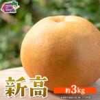 新高 約3kg