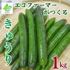 fu.... налог овощи лето овощи огурец 1kg огурец Tokushima префектура . волна город 