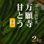 万願寺甘とう 秀品 計2kg