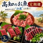 3回定期便 高知 カツオ マグロ ネギトロ