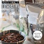 20-95自家焙煎コーヒー豆 オリジナルブレンド 500g×2