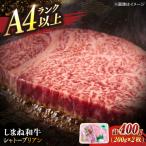 しまね和牛 シャトーブリアン 400g_シャトーブリアン