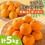 不知火 ポンカン詰め合わせ