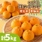 せとか 不知火詰め合わせ