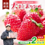 大粒の贅沢 毎月届く幸せ まりひめ を農家直送で 2パック