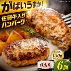 厳選素材の佐賀牛入り合挽ハンバーグ 計900g