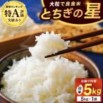\新米 ★令和8年産★ コシヒカリ 白米5kg