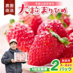 大粒の贅沢 毎月届く幸せ まりひめ を農家直送で 2パック