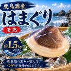 はまぐり 鹿島灘産 約1.5kg