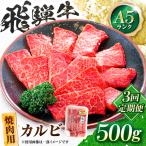 飛騨牛 A5等級 焼肉用 カルビ 500g