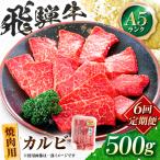 飛騨牛 A5等級 焼肉用 カルビ 500g