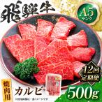 飛騨牛 A5等級 焼肉用 カルビ 500g