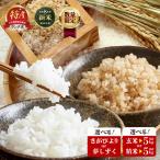 令和8年産 夢しずく 5kg
