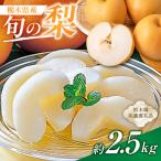 旬の梨 約2.5kg
