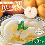旬の梨 約5kg