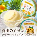 fu.... налог Arita мандарин шербет лёд 24 штук входит _ZE6528 Wakayama префектура горячая вода . блок 